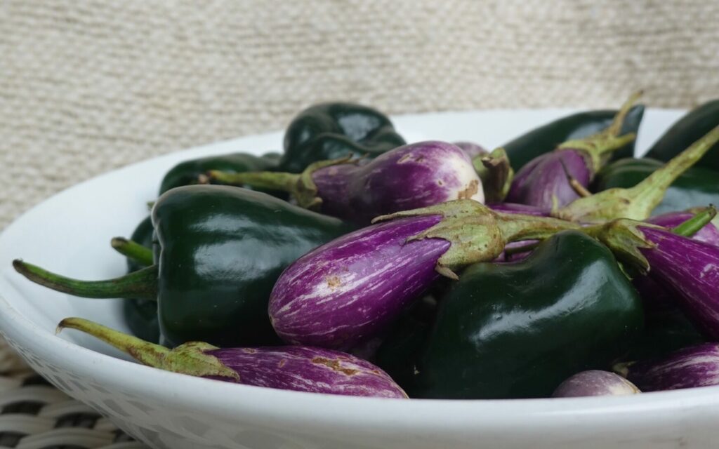 white bowl filled with purple baby eggplant and green jalapeno peppere