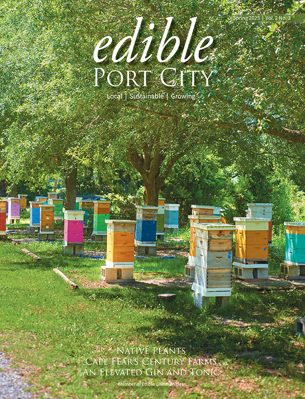 cover of the spring issue of edible port city magazines. colorful beehives