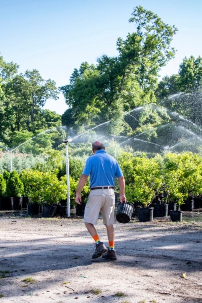 man in plant nursery sprinklers going