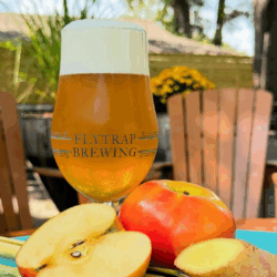 glass of flytrap ale with apples